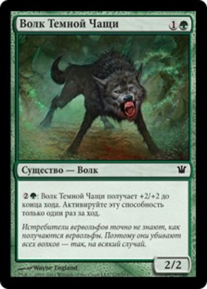 Darkthicket Wolf (Innistrad #175)