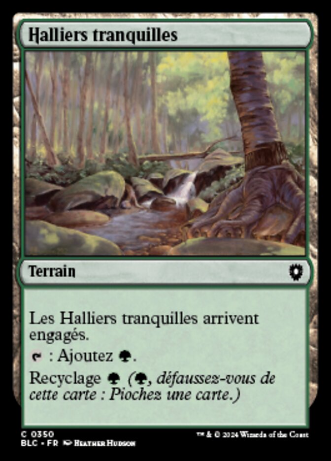 Tranquil Thicket (Bloomburrow Commander #350)