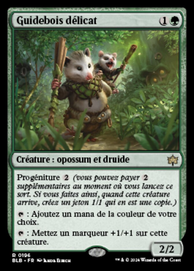 Guidebois délicat