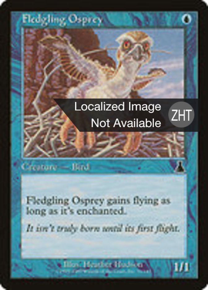 Fledgling Osprey (Urza's Destiny #33)