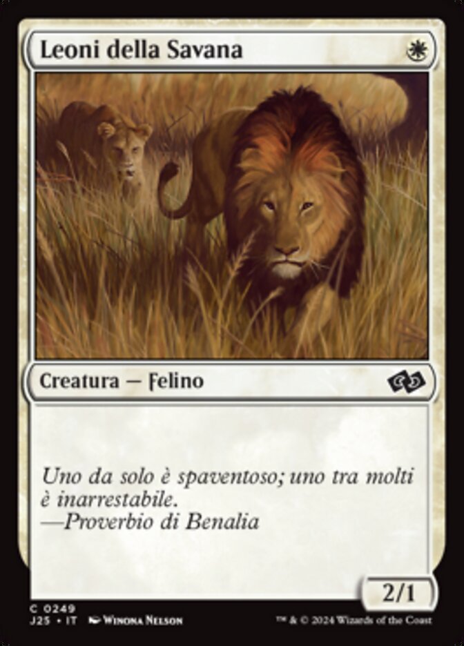 Leoni della Savana