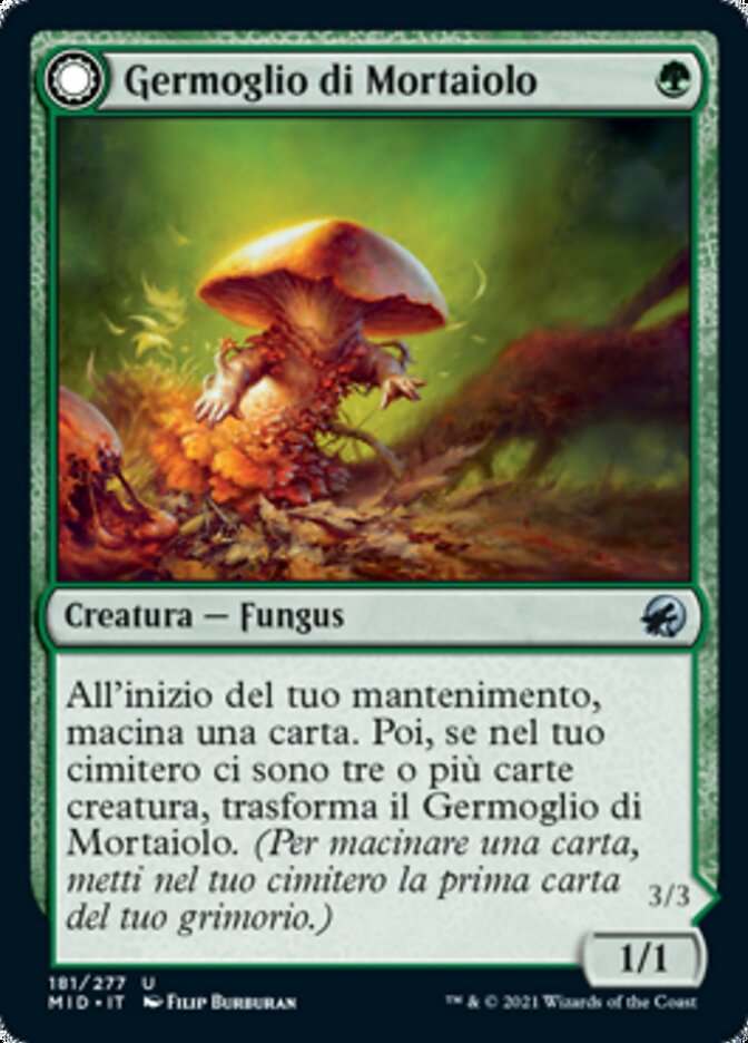 Germoglio di Mortaiolo