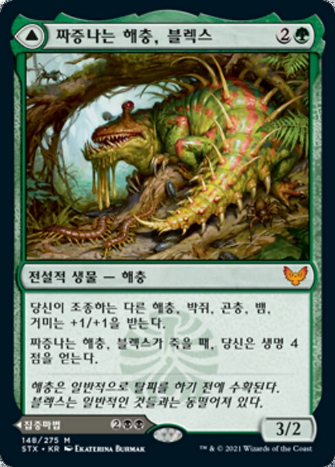 블렉스 탐색