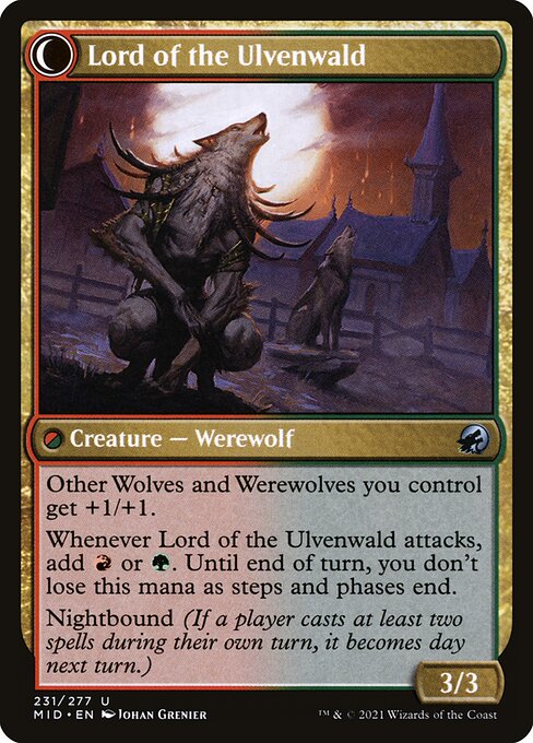Lord of the Ulvenwald