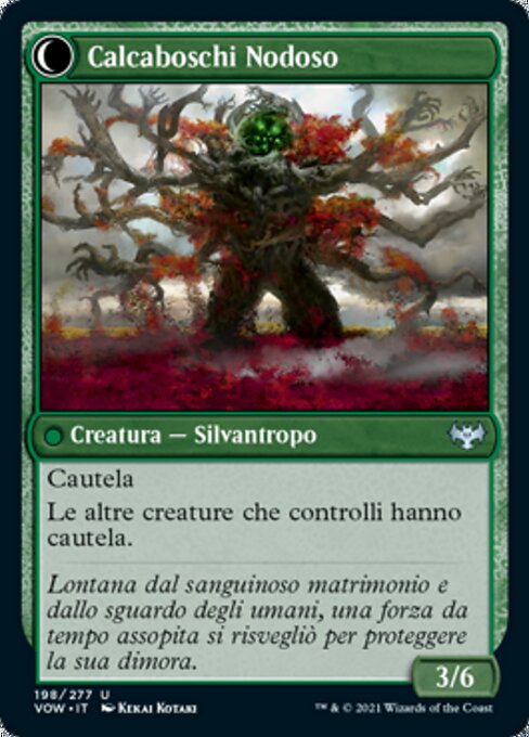 Gnarled Grovestrider