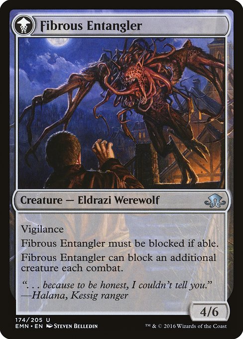 Tangleclaw Werewolf // Fibrous Entangler (Eldritch Moon #174)