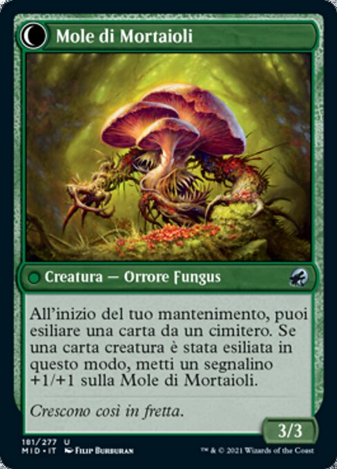 Mole di Mortaioli