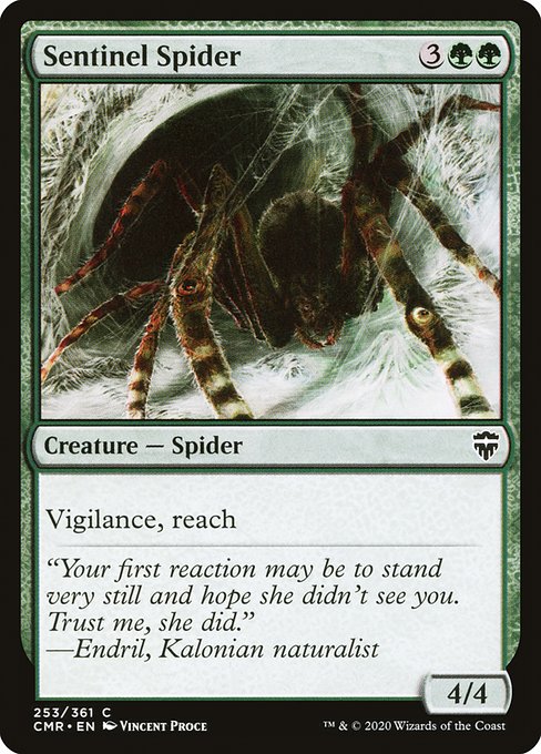 Araignée sentinelle|Sentinel Spider