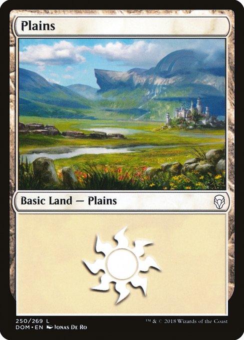 Plains (Dominaria #250)