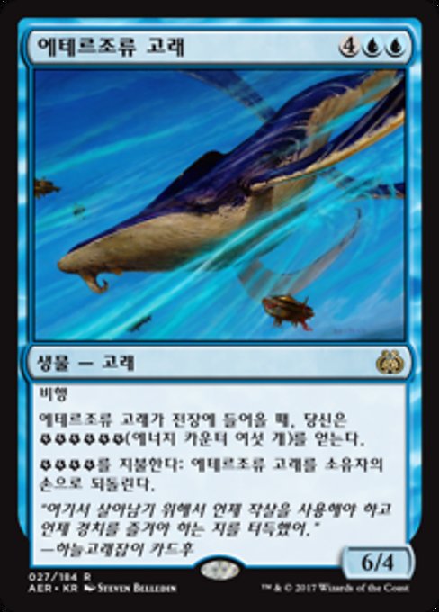 에테르조류 고래