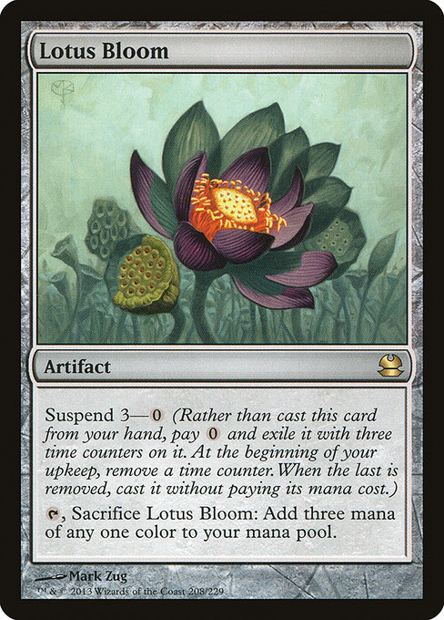 Floraison de lotus