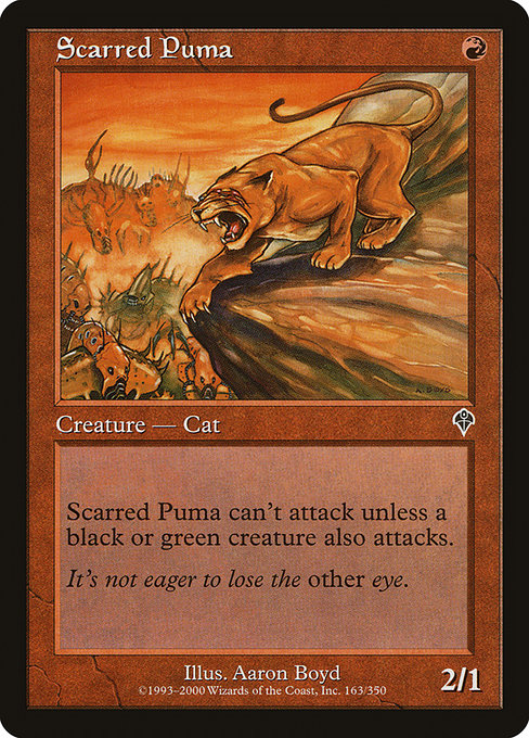 Puma couturé|Scarred Puma