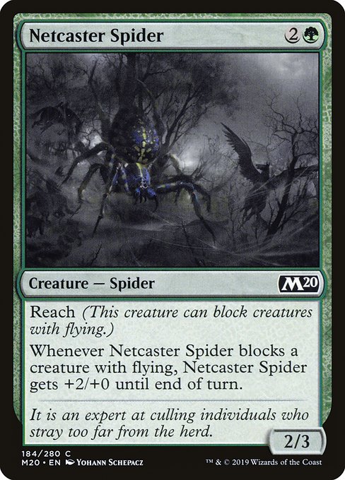 Netcaster Spider (m20) 184