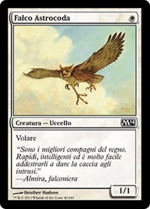 Falco Astrocoda