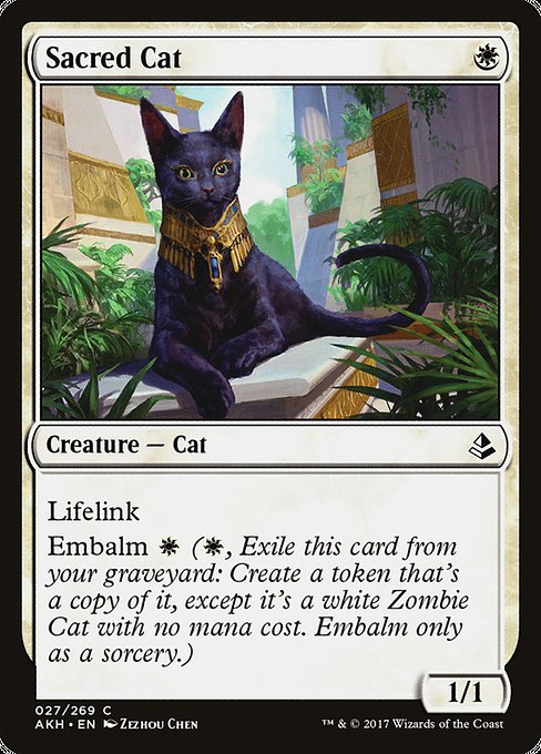 Sacred Cat (Amonkhet #27)