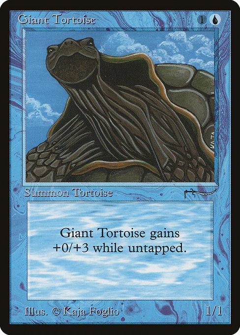 Tortue marine géante|Giant Tortoise