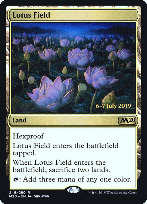 Champ de lotus|Lotus Field