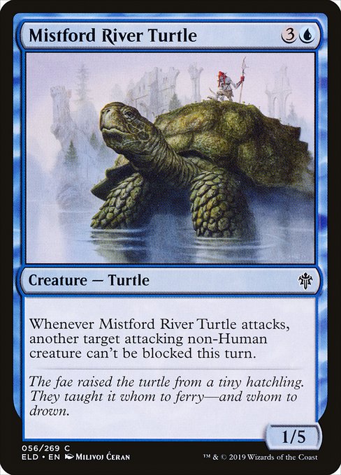 Tortue de Brumegué|Mistford River Turtle