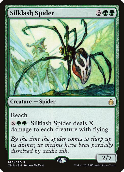 Araignée fouettesoie|Silklash Spider