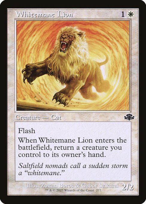 Lion à crinière blanche|Whitemane Lion