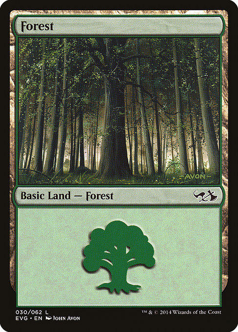 Forest (EVG)