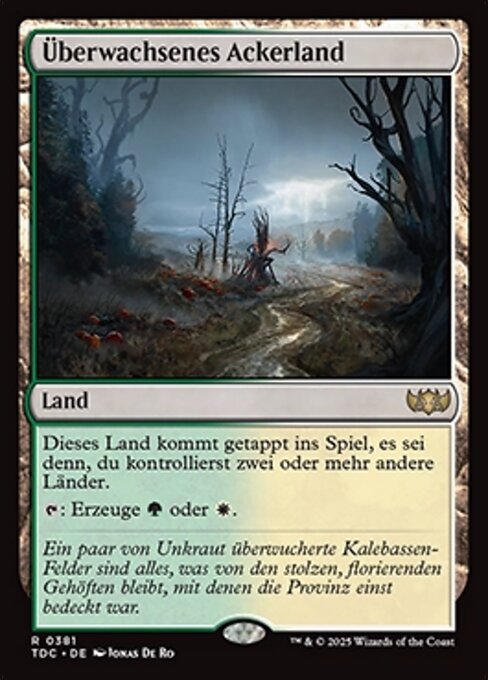 Überwachsenes Ackerland