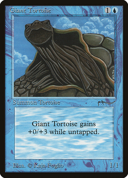 Giant Tortoise (Arabian Nights #15†)