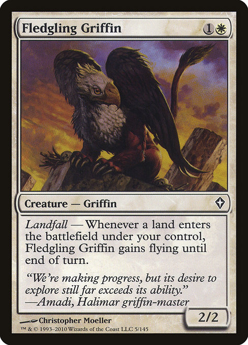 Griffon juvénile|Fledgling Griffin