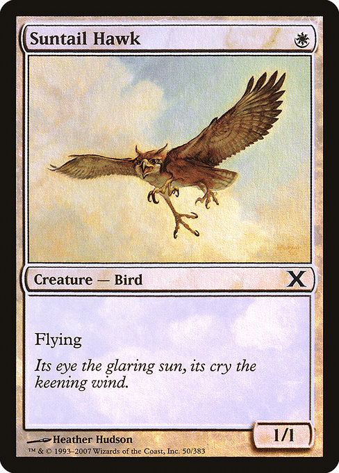 Faucon mordoré|Suntail Hawk