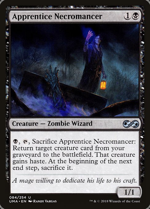 Apprentice Necromancer (Ultimate Masters #84)