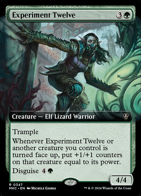 Experiment Twelve (Extended Art)