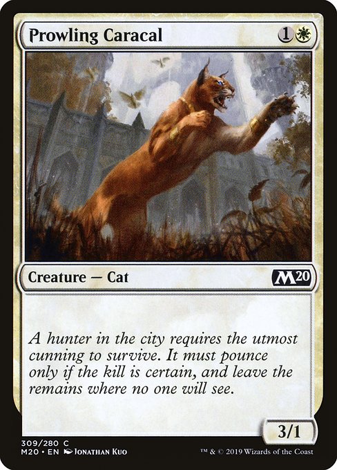 Prowling Caracal (Core Set 2020 #309)