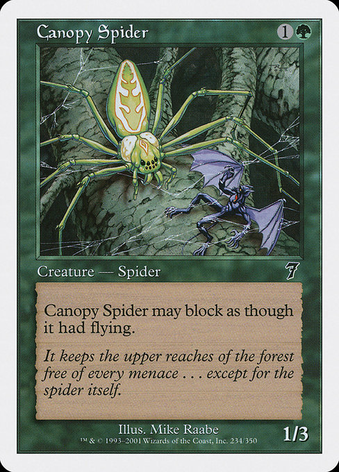 Araignée de la canopée|Canopy Spider