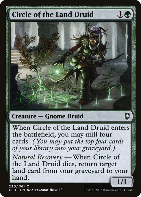 Circle of the Land Druid