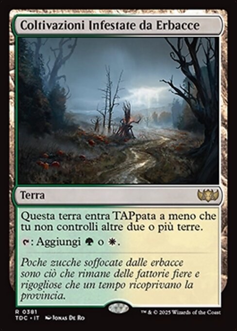 Coltivazioni Infestate da Erbacce
