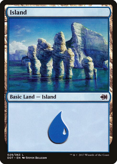 Island (29)