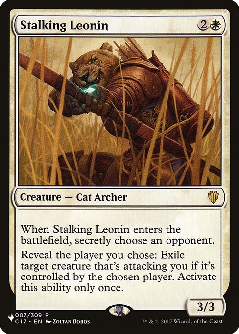 Léonine en chasse|Stalking Leonin