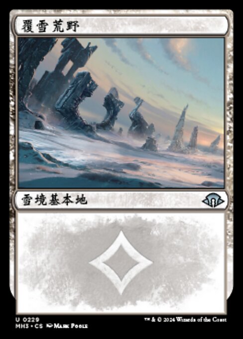 Snow-Covered Wastes (Modern Horizons 3 #229)