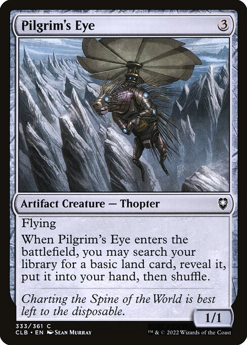 Pilgrim's Eye card image