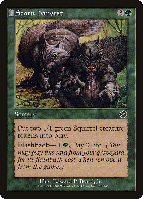 Acorn Harvest card image