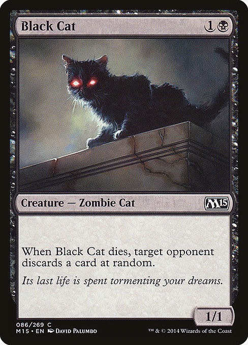 Black Cat (m15) 86