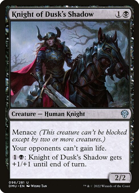 Knight of Dusk's Shadow card image