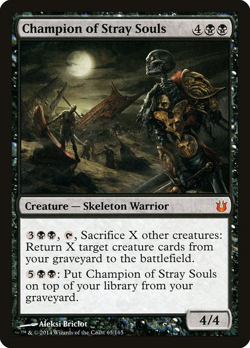 Champion of Stray Souls card image