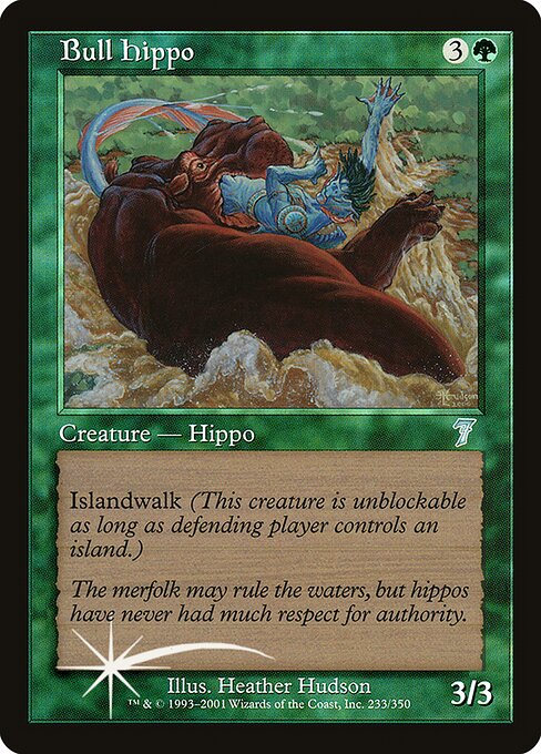 Hippopotame mâle|Bull Hippo