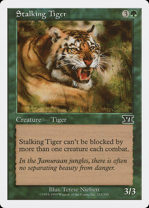 Tigre en chasse|Stalking Tiger