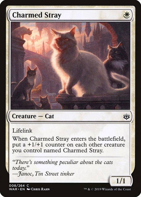 Charmed Stray (War of the Spark #8)