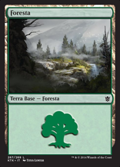Forest (Khans of Tarkir #267)