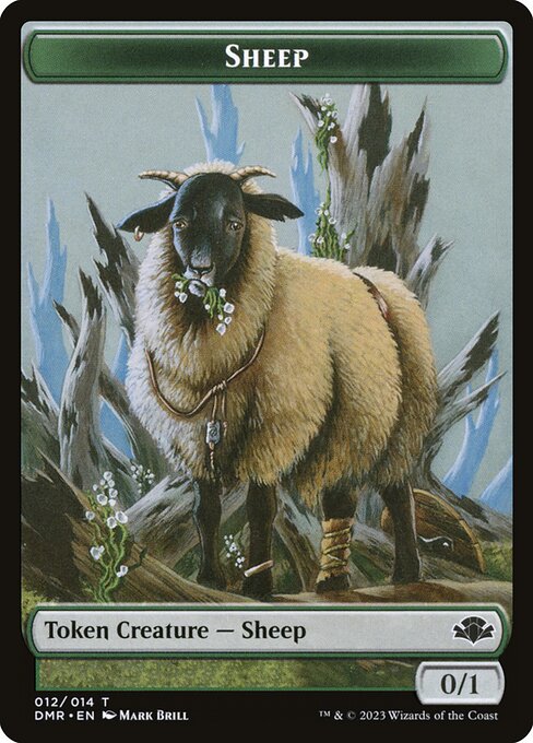 Sheep card image