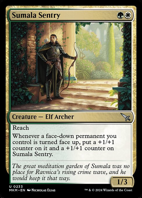 Sumala Sentry card image