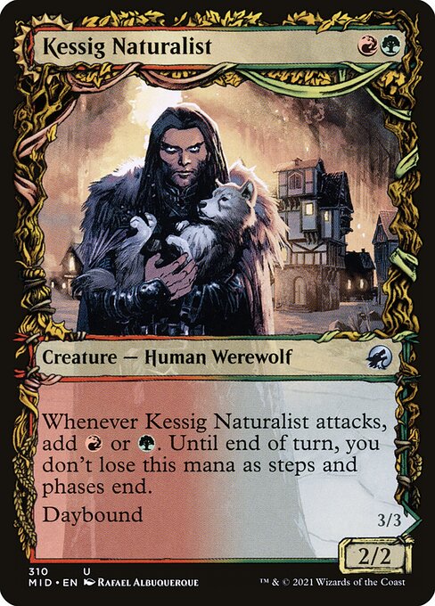 Kessig Naturalist // Lord of the Ulvenwald (mid) 310